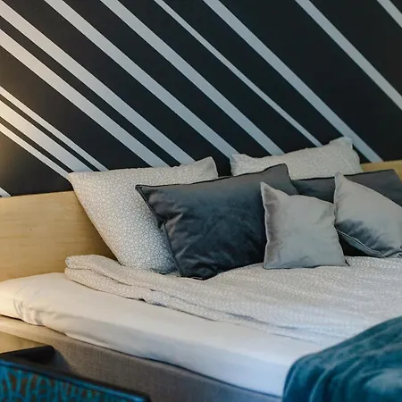 Viisnurga Puhkemajad Appartamento *