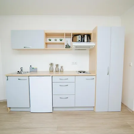 Viisnurga Puhkemajad Appartamento *