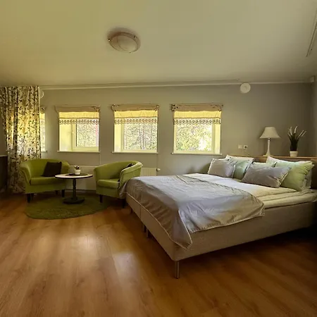 Viisnurga Puhkemajad Uulu