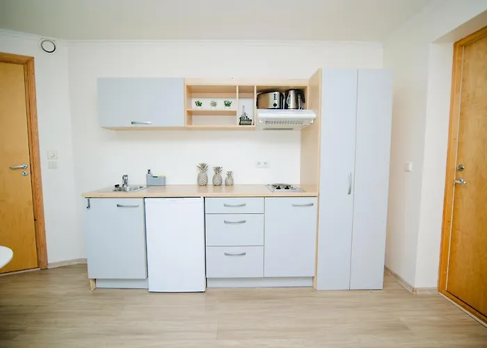 Viisnurga Puhkemajad Apartament *