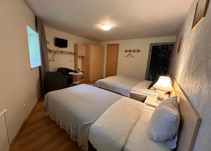 Viisnurga Puhkemajad Apartmán *