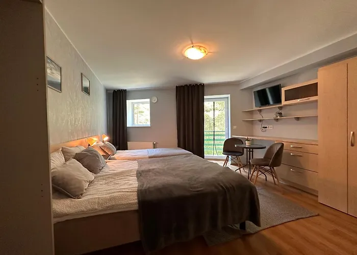 Viisnurga Puhkemajad Apartmán *