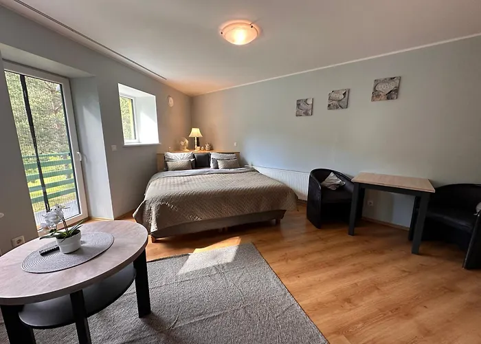 Viisnurga Puhkemajad Apartament Uulu